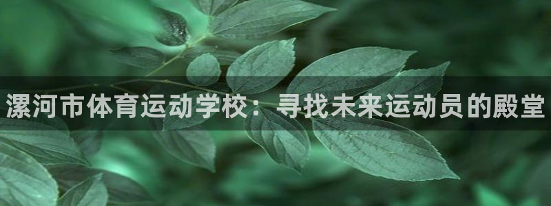 尊龙官方正版app集团E.ON：漯河市体育运动学校：