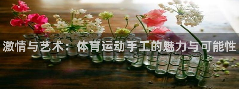 尊龙官方平台体育：激情与艺术：体育运动手工的魅力与可能性