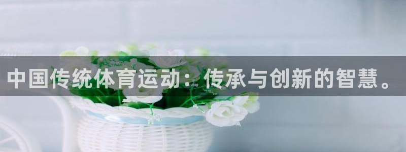 尊龙官方正版app娱乐：中国传统体育运动：传承与创新