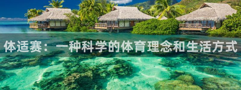 尊龙官网下载招商：体适赛：一种科学的体育理念和生活方