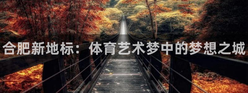 尊龙官网下载注册：合肥新地标：体育艺术梦中的梦想之城