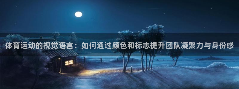 尊龙官方正版app娱乐网站：体育运动的视觉语言：如何