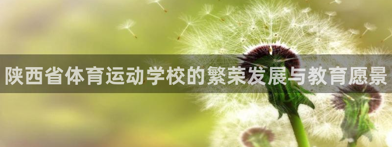 尊龙官方正版app娱乐40996：陕西省体育运动学校