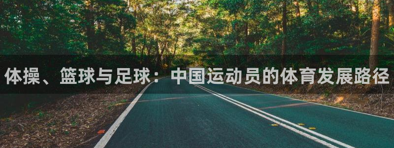 尊龙官网下载招商电话号码是多少：体操、篮球与足球：中