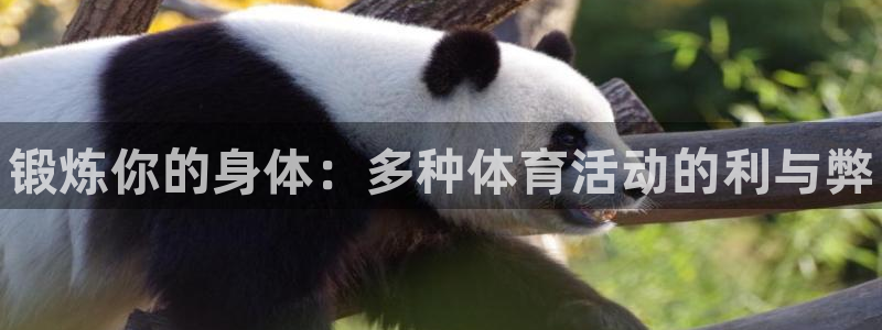 尊龙官网下载官方客服电话：锻炼你的身体：多种体育活动