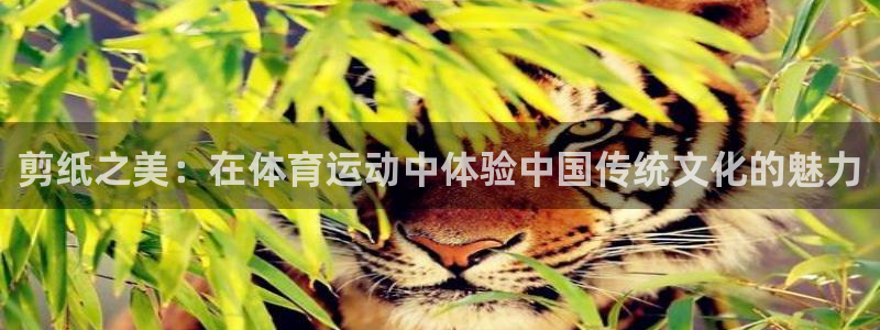 尊龙官网下载平台是正规平台吗知乎：剪纸之美：在体育运