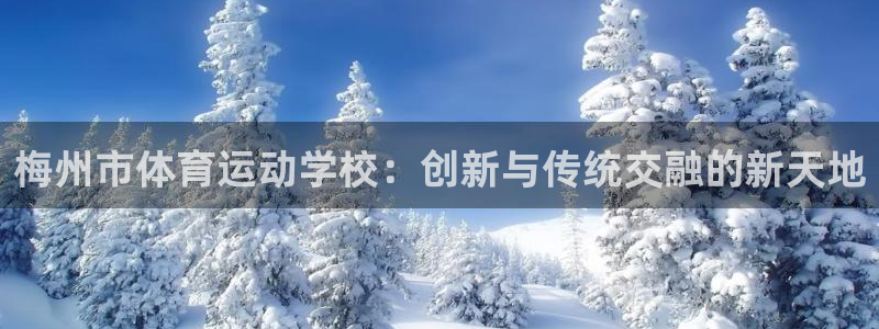 尊龙官网下载平台假的吗是真的吗吗：梅州市体育运动学校