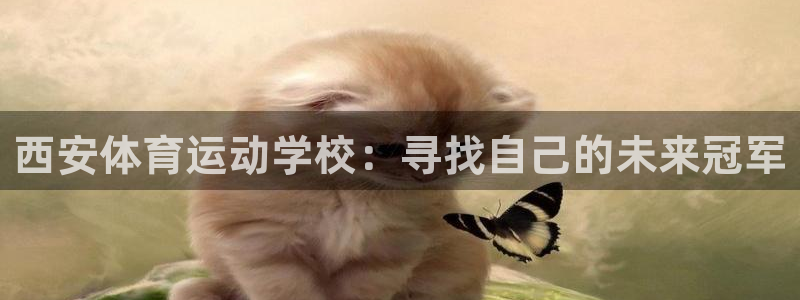 尊龙官方正版app集团官网首页网址：西安体育运动学校
