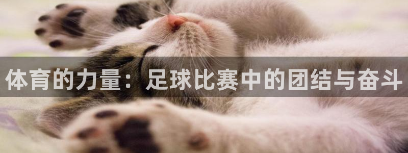尊龙官网下载招商电话是多少号码：体育的力量：足球比赛