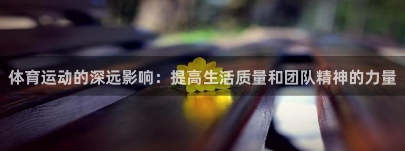 尊龙官方正版app新能源：体育运动的深远影响：提高生