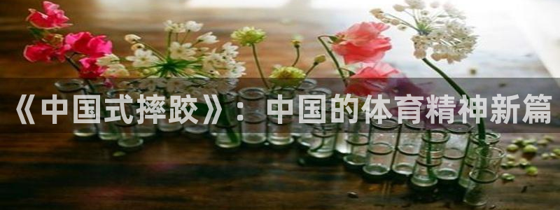 尊龙官方正版app集团：《中国式摔跤》：中国的体育精