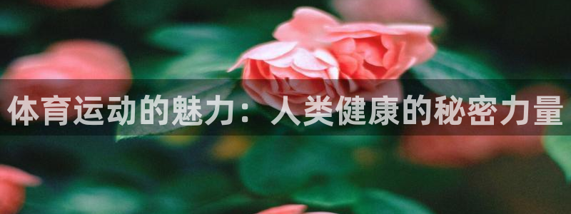 尊龙官方正版app娱乐首页官网下载：体育运动的魅力：人类健康