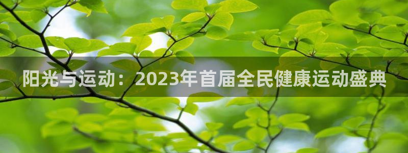 尊龙官方正版app集团logo：阳光与运动：2023