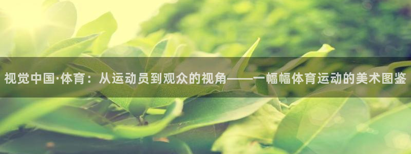 尊龙官网下载软件：视觉中国·体育：从运动员到观众的视