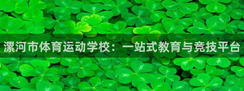 尊龙官方正版app神州：漯河市体育运动学校：一站式教育与竞技