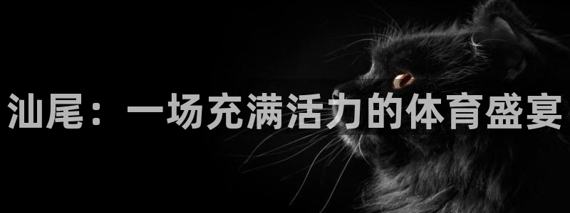 尊龙官网下载联系电话：汕尾：一场充满活力的体育盛宴
