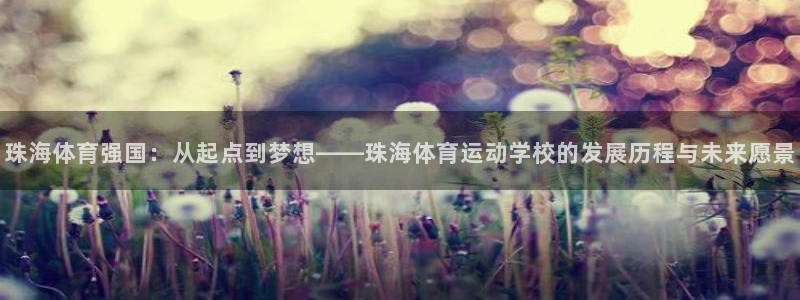 尊龙官方正版app娱乐网站：珠海体育强国：从起点到梦
