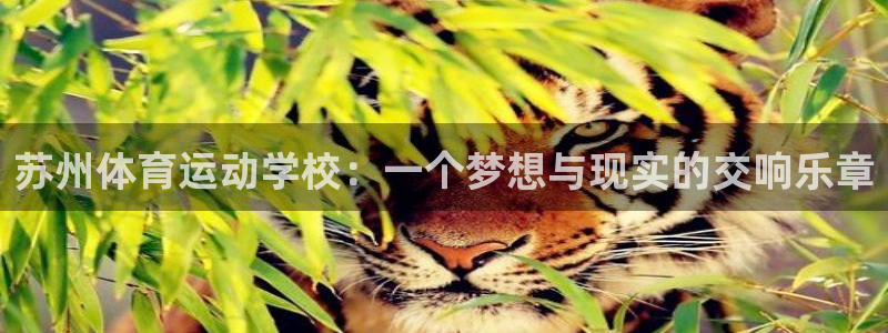 尊龙官方正版app集团：苏州体育运动学校：一个梦想与现实的交