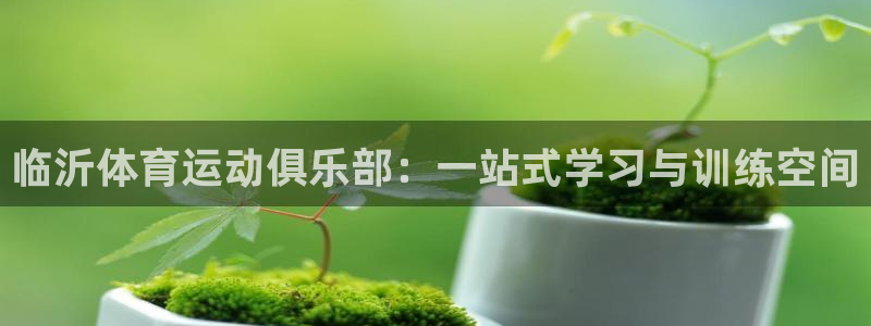 尊龙官方正版app官方：临沂体育运动俱乐部：一站式学