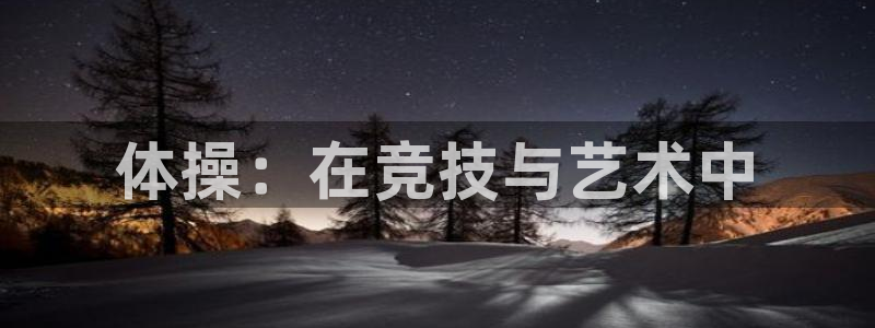 尊龙官网下载平台注册要钱吗安全吗：体操：在竞技与艺术