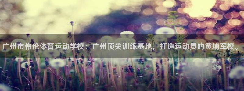 尊龙官方正版app开户：广州市伟伦体育运动学校：广州