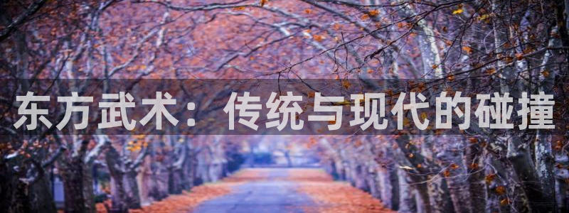 海南尊龙官网下载：东方武术：传统与现代的碰撞