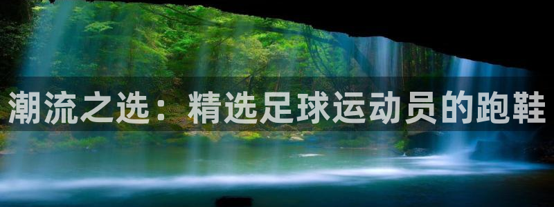 尊龙官方正版app集团logo：潮流之选：精选足球运