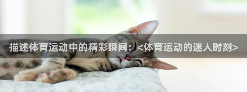 尊龙官方正版app娱乐：描述体育运动中的精彩瞬间：<体育运动