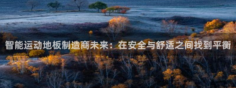 尊龙官方正版app娱乐代理怎么样：智能运动地板制造商