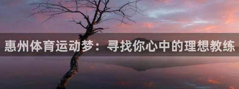 尊龙官网下载招商电话是多少号码：惠州体育运动梦：寻找你心中的