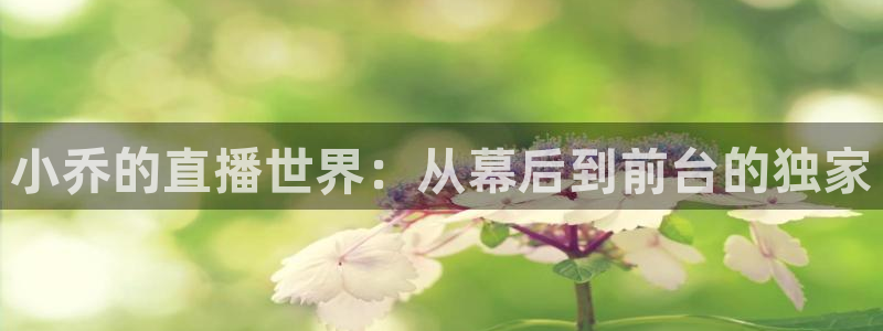nba黑白直播在线观看免费