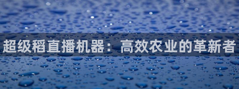 黑白直播足球直播下载