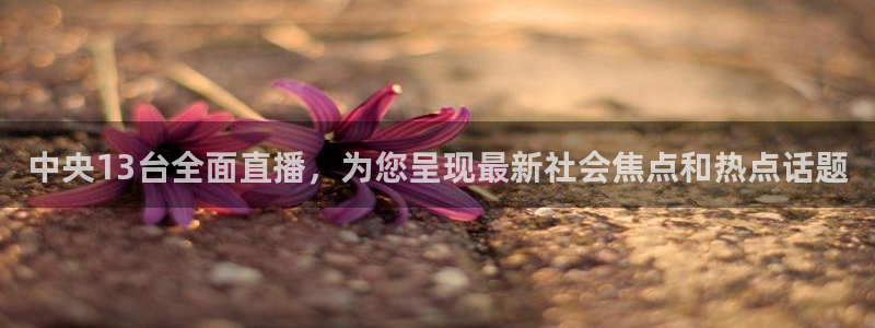 黑白体育足球免费直播
