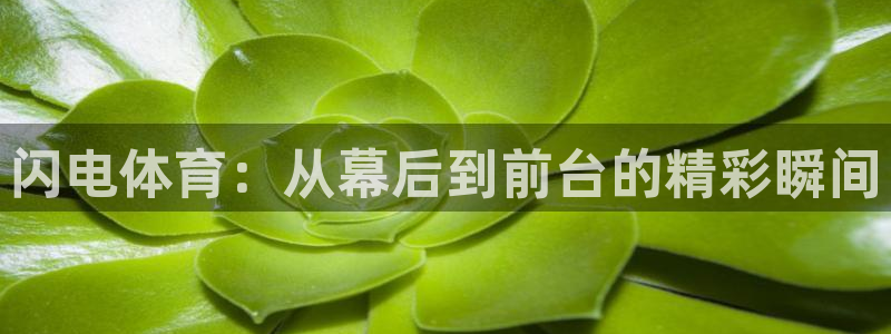 黑白体育直播nba在线观看免费