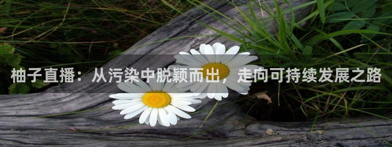 黑白体育直播在线看