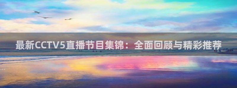 黑白体育直播 app：最新CCTV5直播节目集锦：全面回顾与精彩推荐