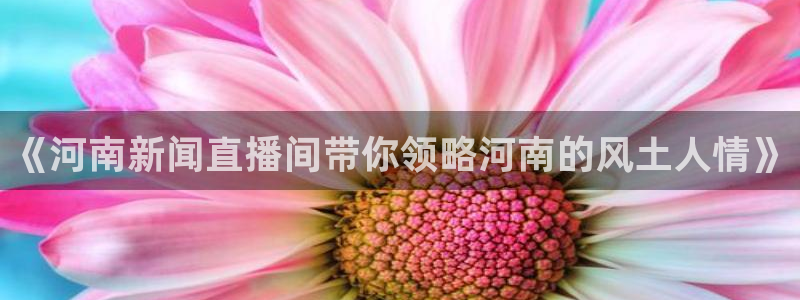黑白直播nba：《河南新闻直播间带你领略河南的风土人情》