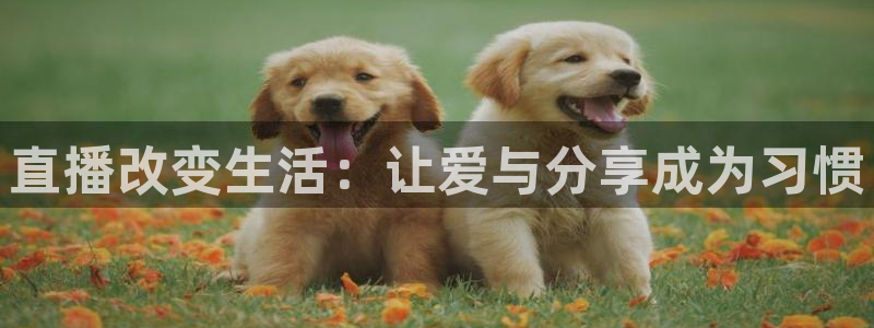 黑白直播黑白直播体育：直播改变生活：让爱与分享成为习惯