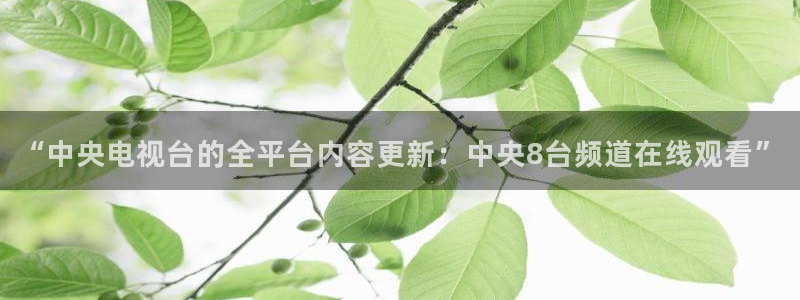 黑白直播nba直播免费：“中央电视台的全平台内容更新：中央8台频道在线观看”